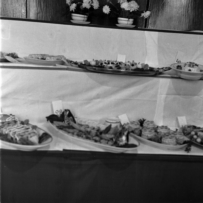 minerva_1982_c3_c7r3_017