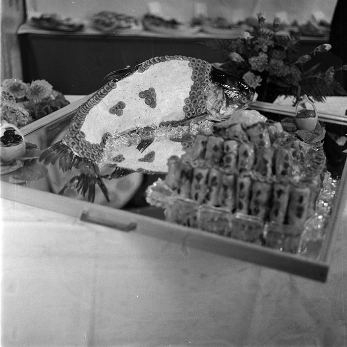 minerva_1982_c3_c7r3_019