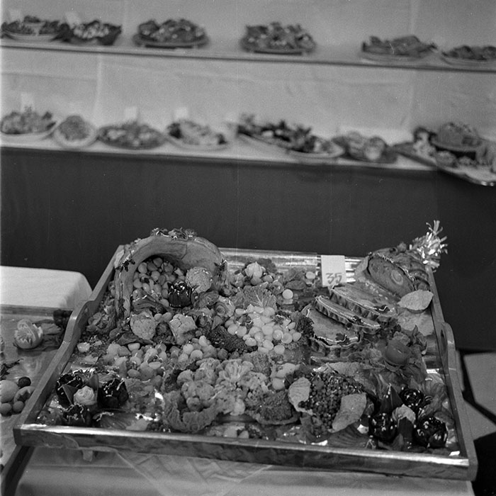 minerva_1982_c3_c7r3_022