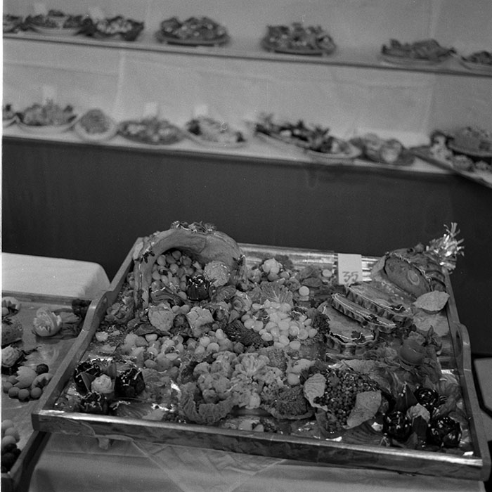 minerva_1982_c3_c7r3_023