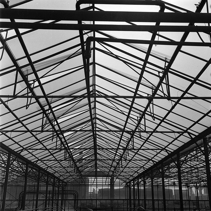 minerva_1982_c3_c7r4_007