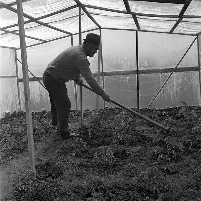 minerva_1982_c3_c7r4_008