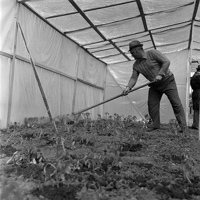 minerva_1982_c3_c7r4_009