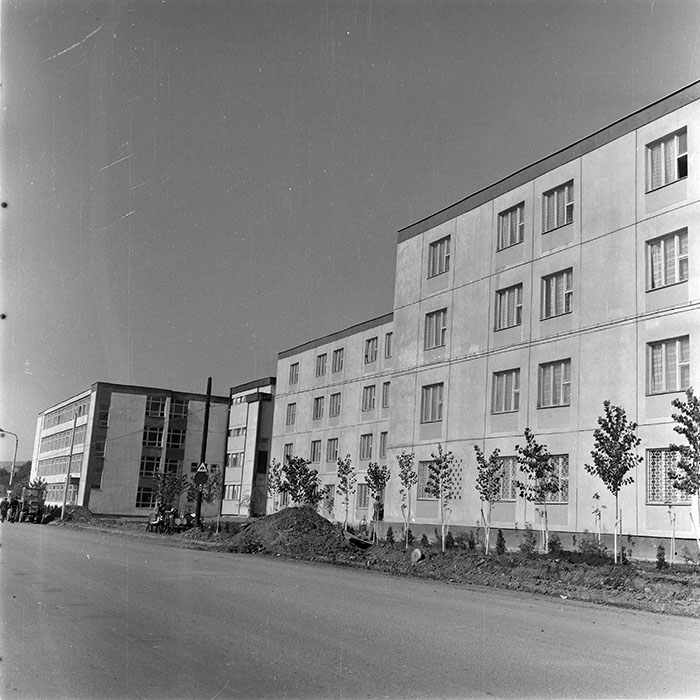 minerva_1982_c3_c9r5_008