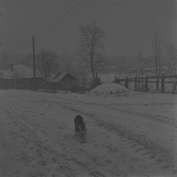 minerva_1983-1984_c2_c2r2_001