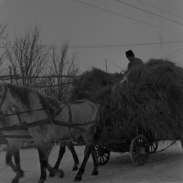 minerva_1983-1984_c2_c2r2_002