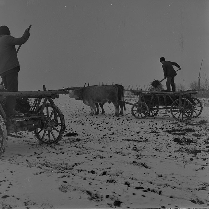 minerva_1983-1984_c2_c2r2_003