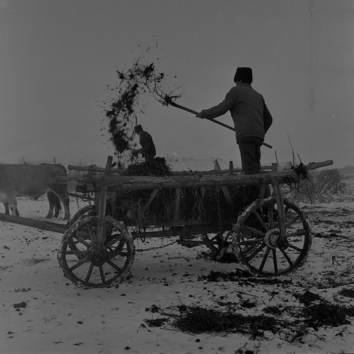 minerva_1983-1984_c2_c2r2_004