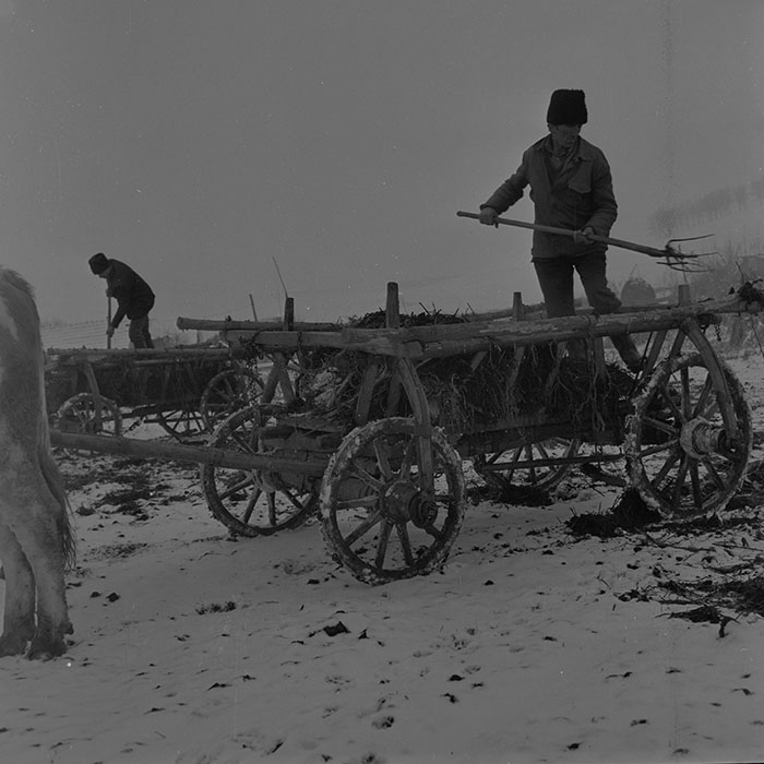 minerva_1983-1984_c2_c2r2_005