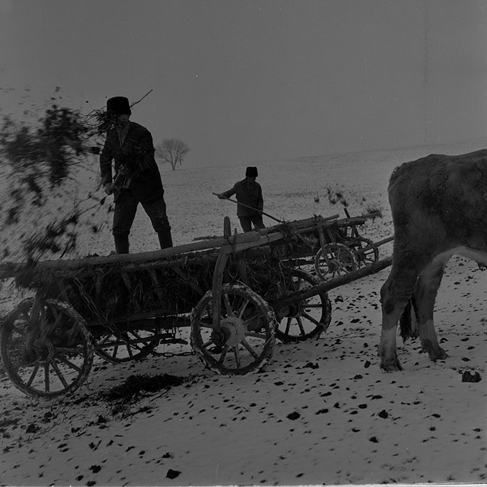 minerva_1983-1984_c2_c2r2_006