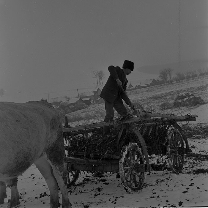 minerva_1983-1984_c2_c2r2_007