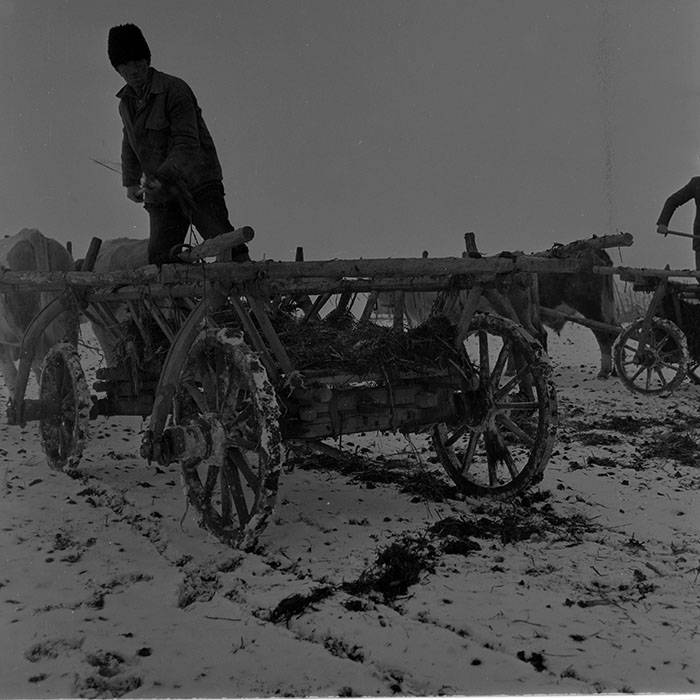 minerva_1983-1984_c2_c2r2_008