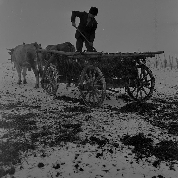 minerva_1983-1984_c2_c2r2_009