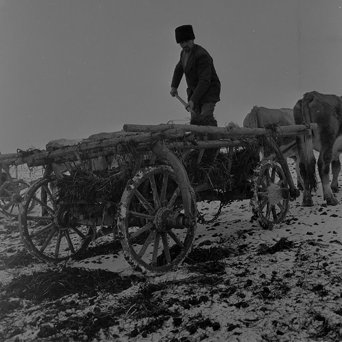 minerva_1983-1984_c2_c2r2_010