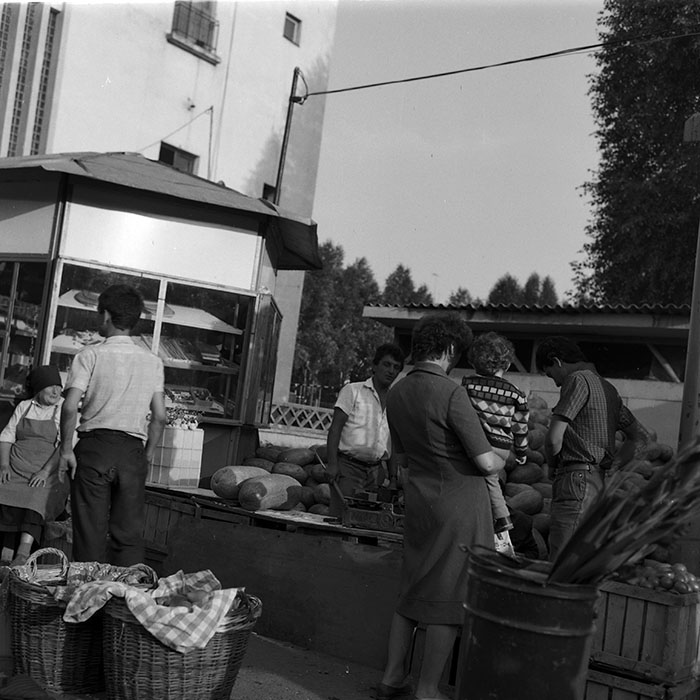 minerva_1983-1984_c2_c5r4_007