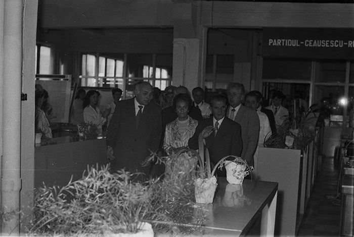 minerva_1983-1984_c2_c7r4_011