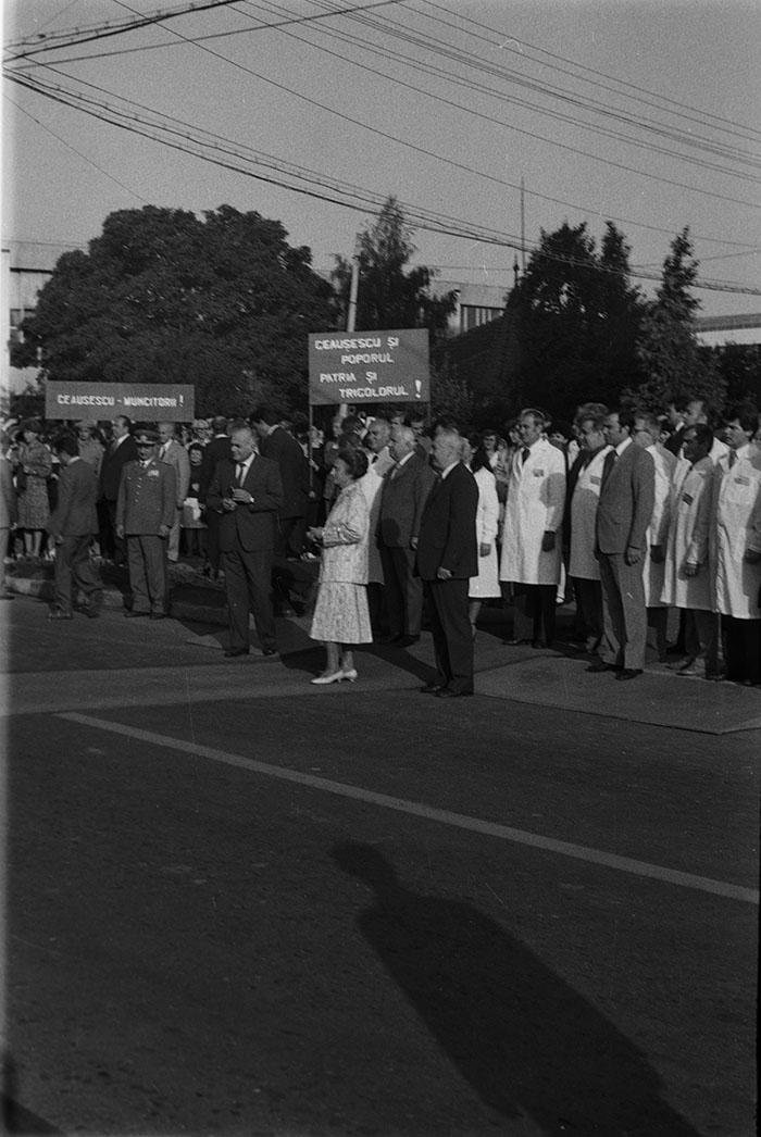 minerva_1983-1984_c2_c7r4_017