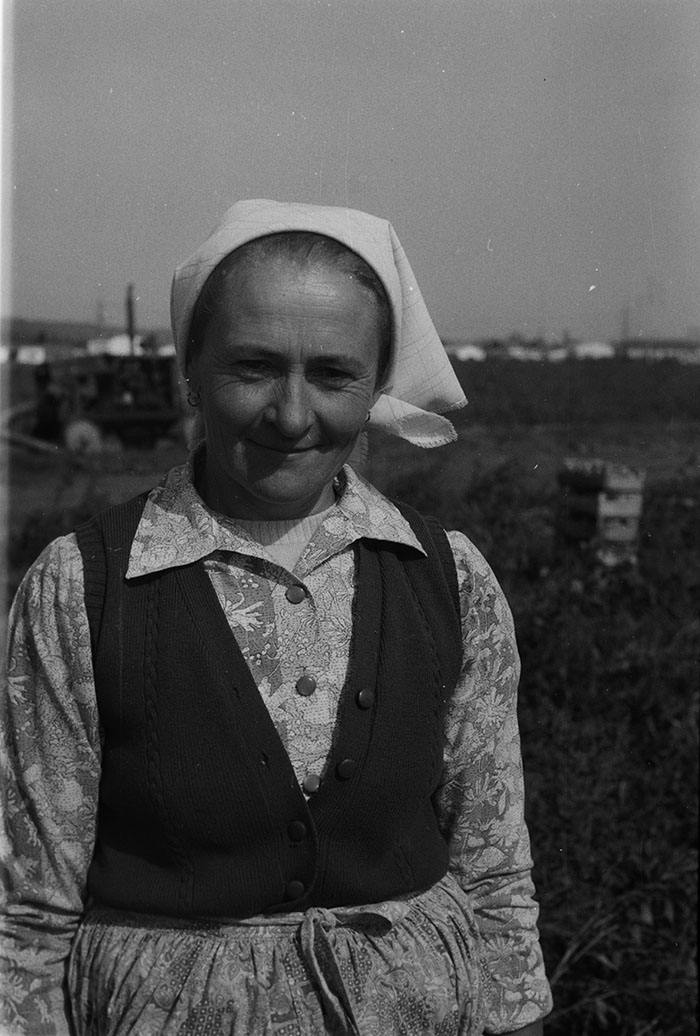 minerva_1983-1984_c2_c7r5_012