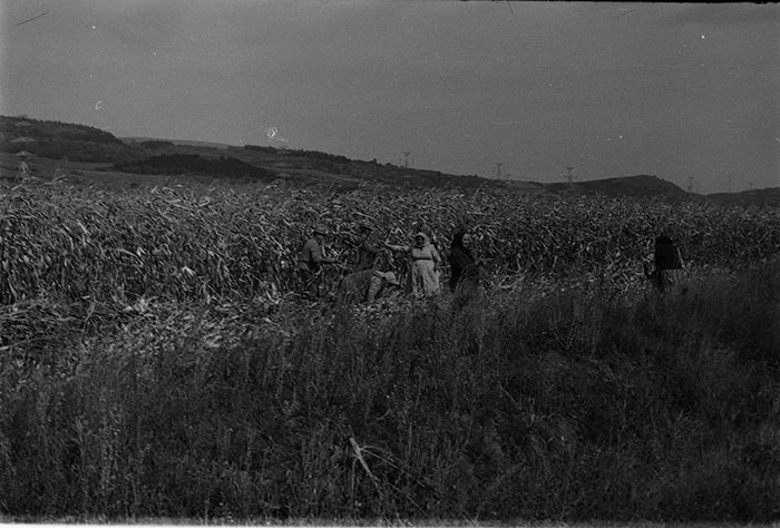 minerva_1983-1984_c2_c7r5_018