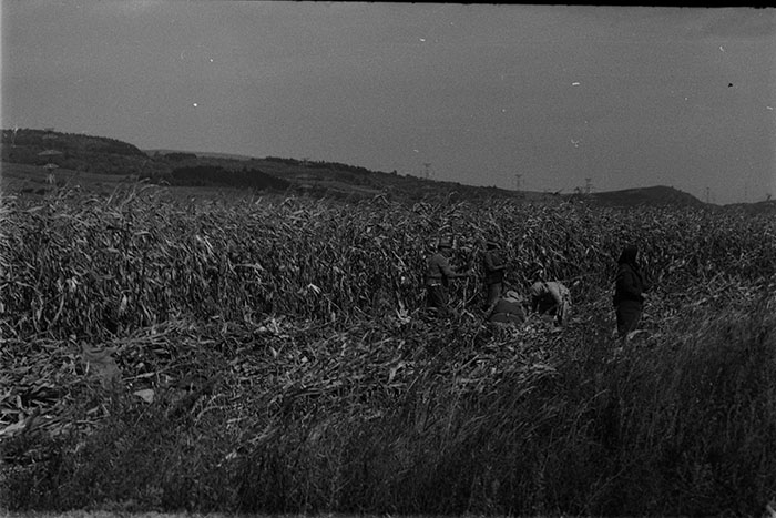 minerva_1983-1984_c2_c7r5_019