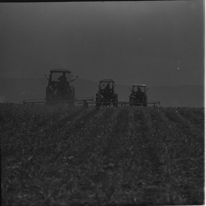 minerva_1983-1984_c2_unspecified_001