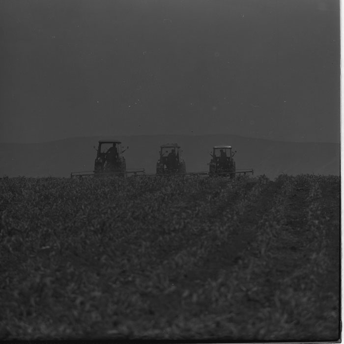 minerva_1983-1984_c2_unspecified_003