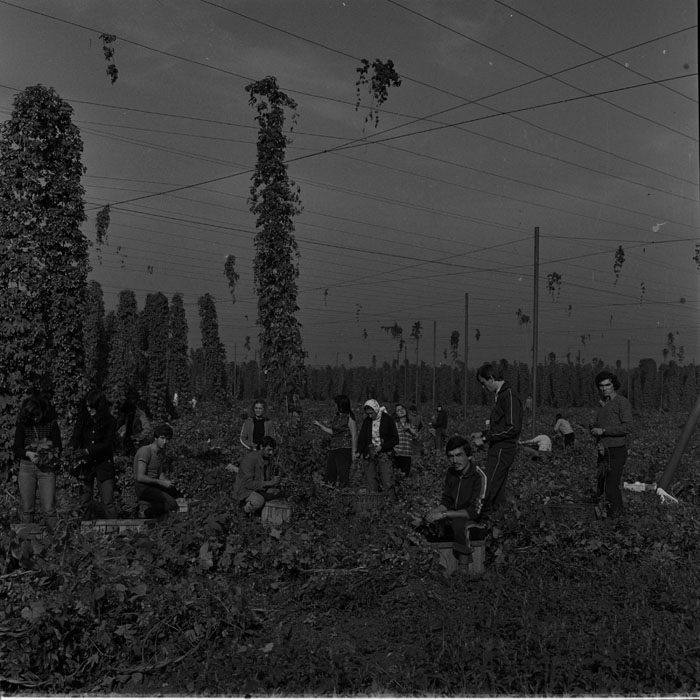 minerva_1983-1984_c2_unspecified_006