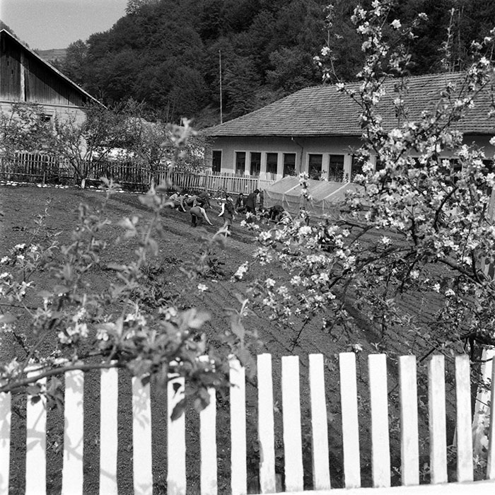 minerva_1983_c1_c10r3_007