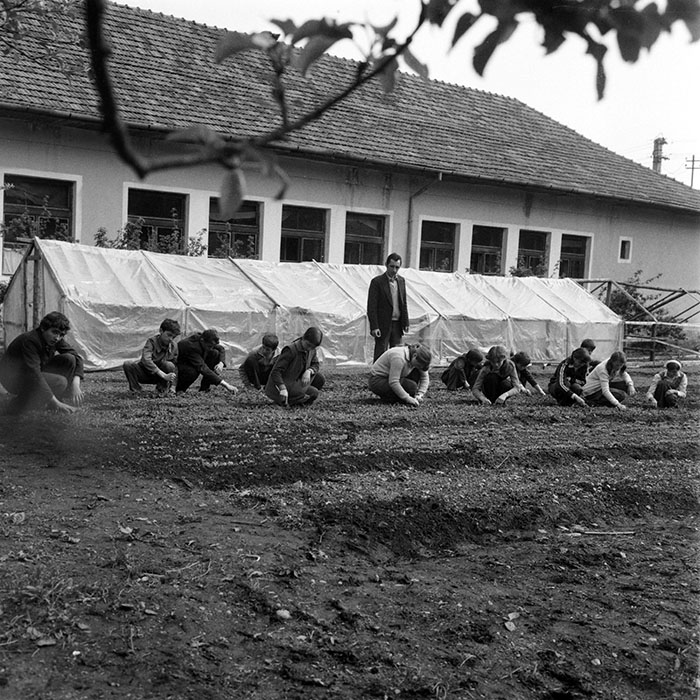 minerva_1983_c1_c10r3_011