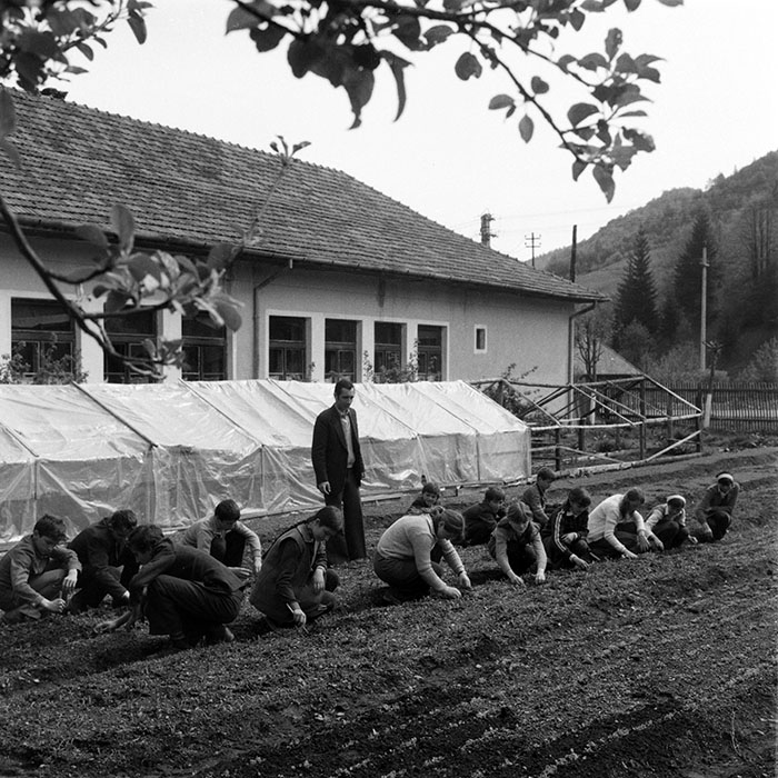 minerva_1983_c1_c10r3_012