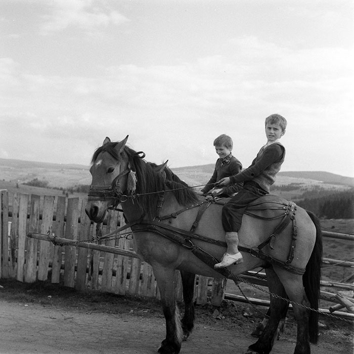 minerva_1983_c1_c10r3_020