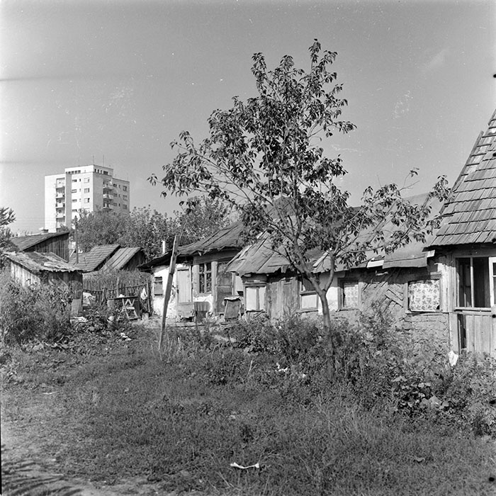 minerva_1983_c1_c1r1_013