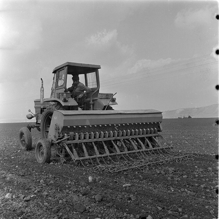 minerva_1983_c1_c1r3_045