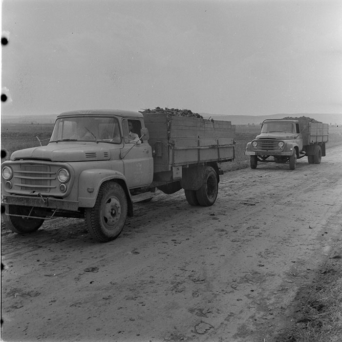 minerva_1983_c1_c1r3_047