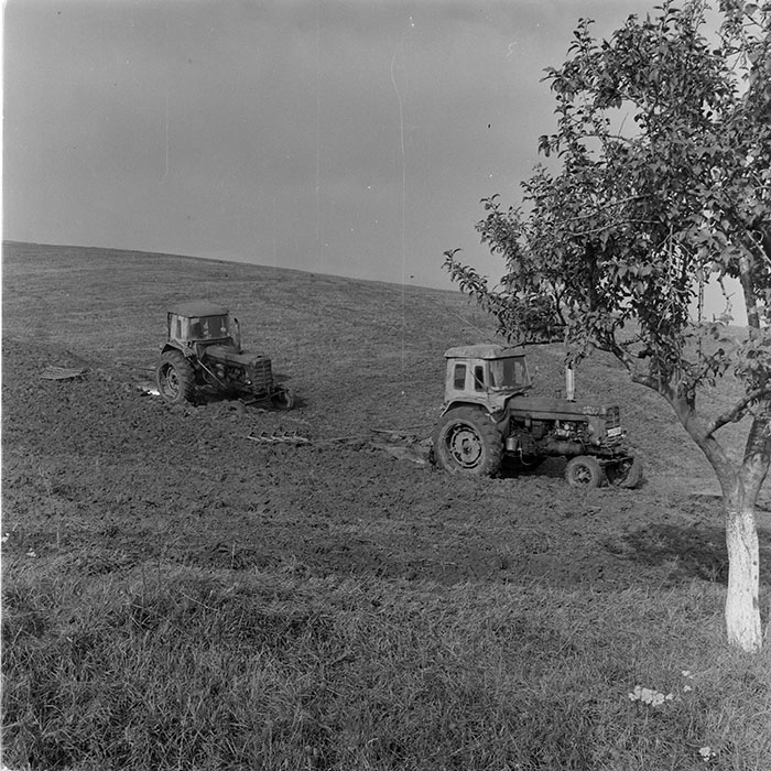 minerva_1983_c1_c1r3_057