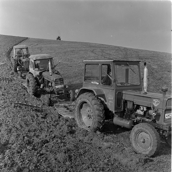 minerva_1983_c1_c1r3_058