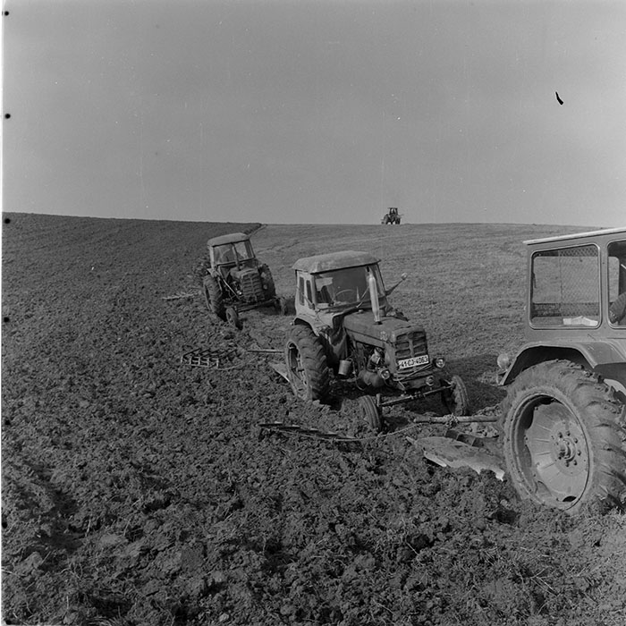 minerva_1983_c1_c1r3_059