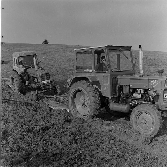 minerva_1983_c1_c1r3_060