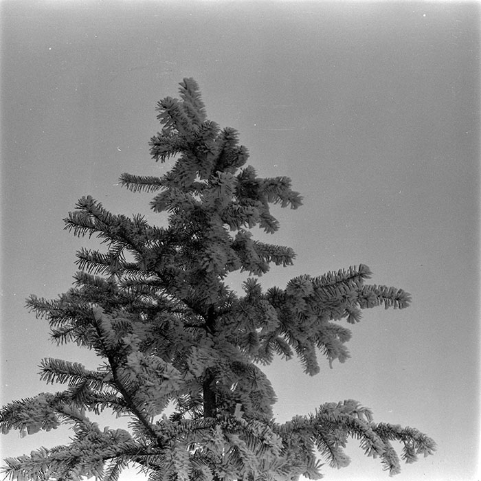 minerva_1983_c1_c1r5_008