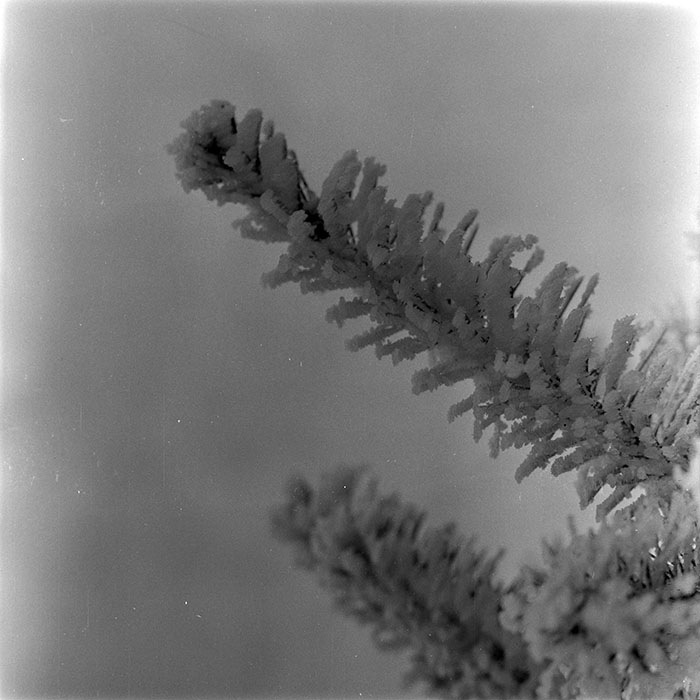 minerva_1983_c1_c1r5_009