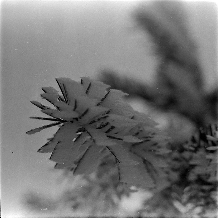 minerva_1983_c1_c1r5_010