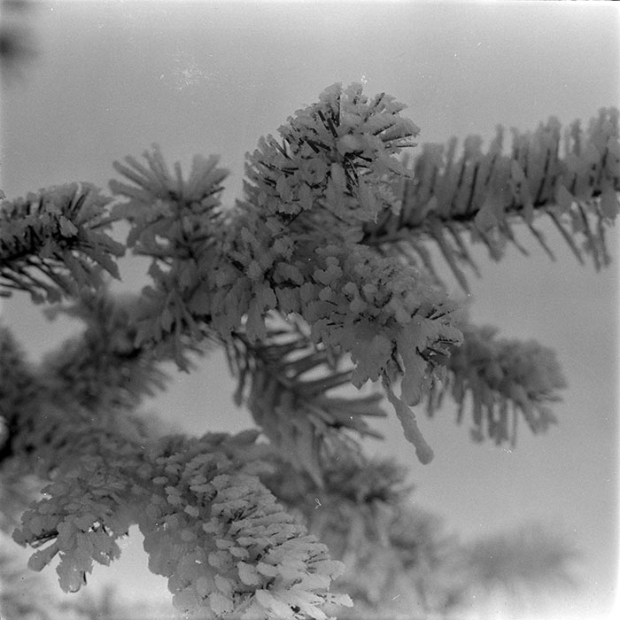 minerva_1983_c1_c1r5_011