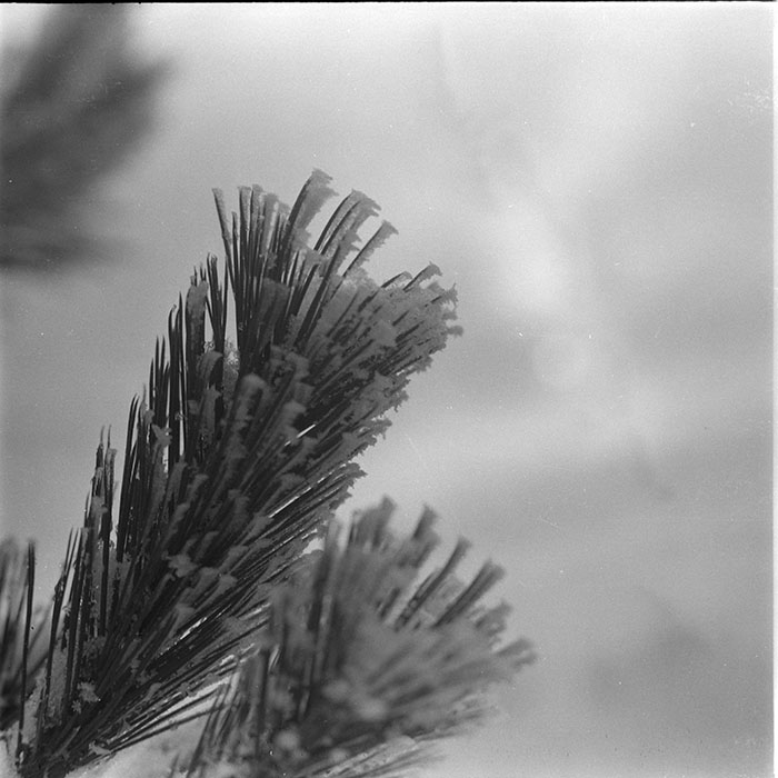 minerva_1983_c1_c1r5_012