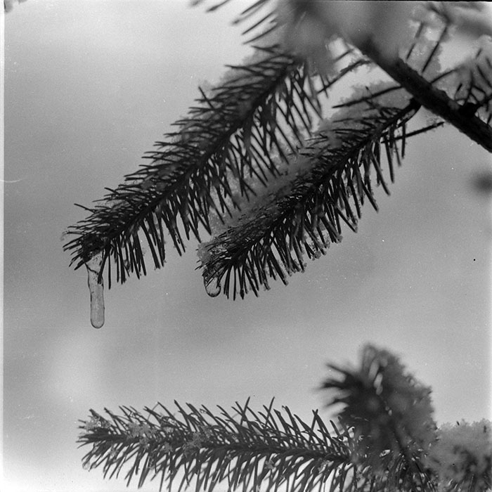 minerva_1983_c1_c1r5_013