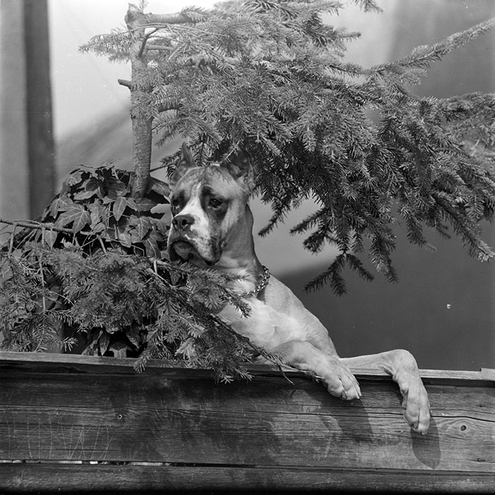 minerva_1983_c1_c2r2_003