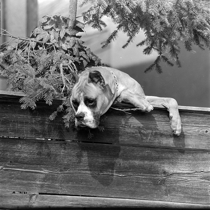 minerva_1983_c1_c2r2_005