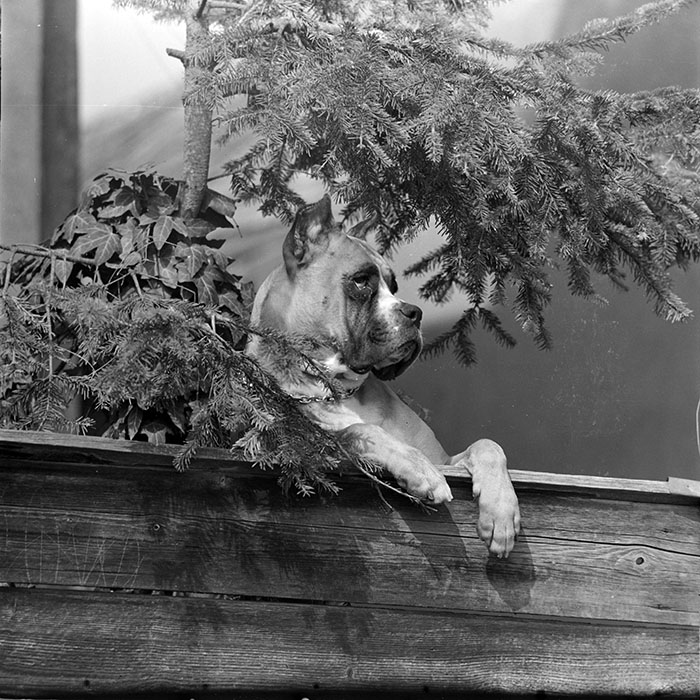 minerva_1983_c1_c2r2_006