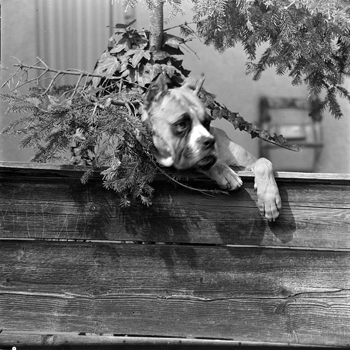 minerva_1983_c1_c2r2_008