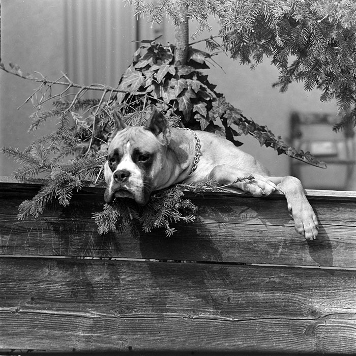 minerva_1983_c1_c2r2_009