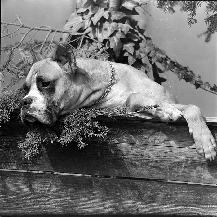 minerva_1983_c1_c2r2_010